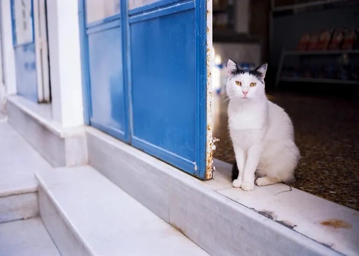 Super Luxury Five-bedroom Private Infinity Pool Villa