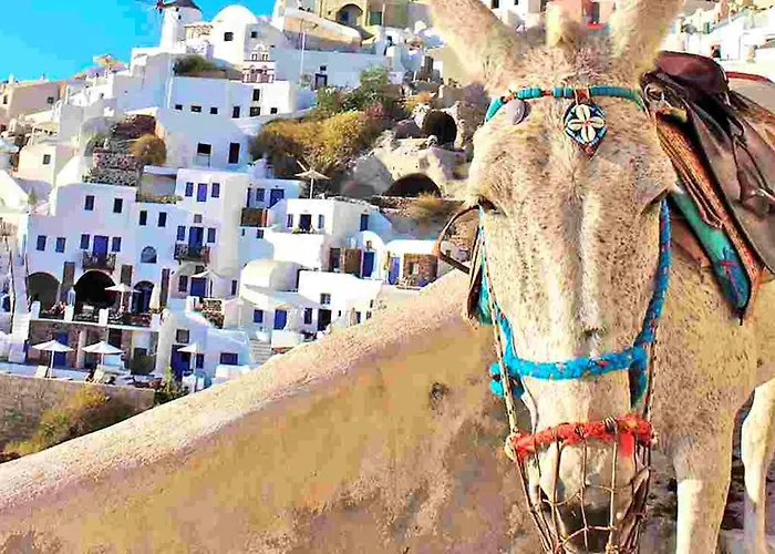 Super Luxury Five-bedroom Private Infinity Pool Willa Skiatos