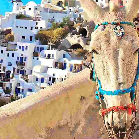 Super Luxury Five-bedroom Private Infinity Pool Vila Skiathos